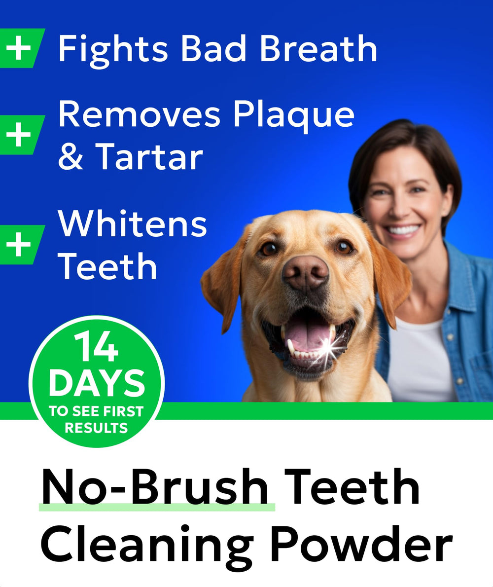 BARK&SPARK plaque remover powder for dogs targeting tartar reduction