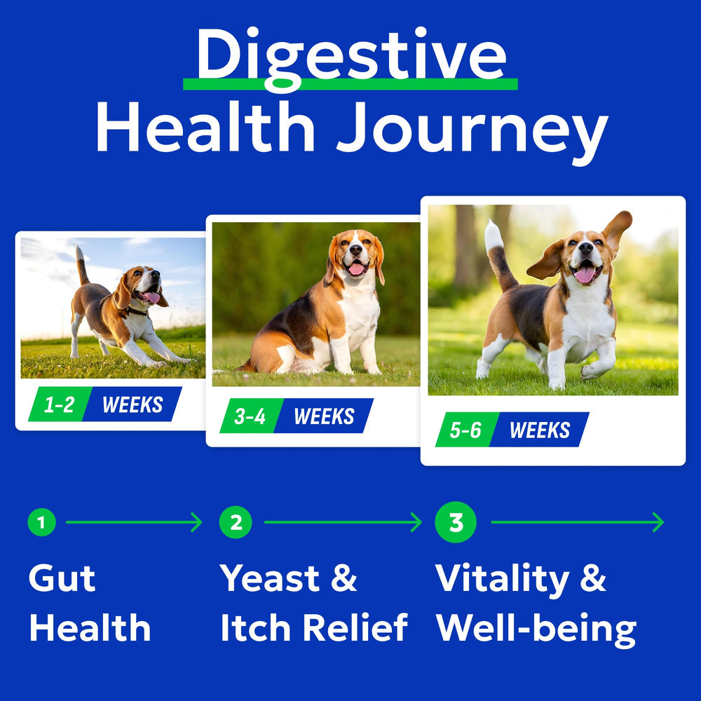 BARK&SPARK Probiotics for Dogs pumpkin fiber supports stool consistency.