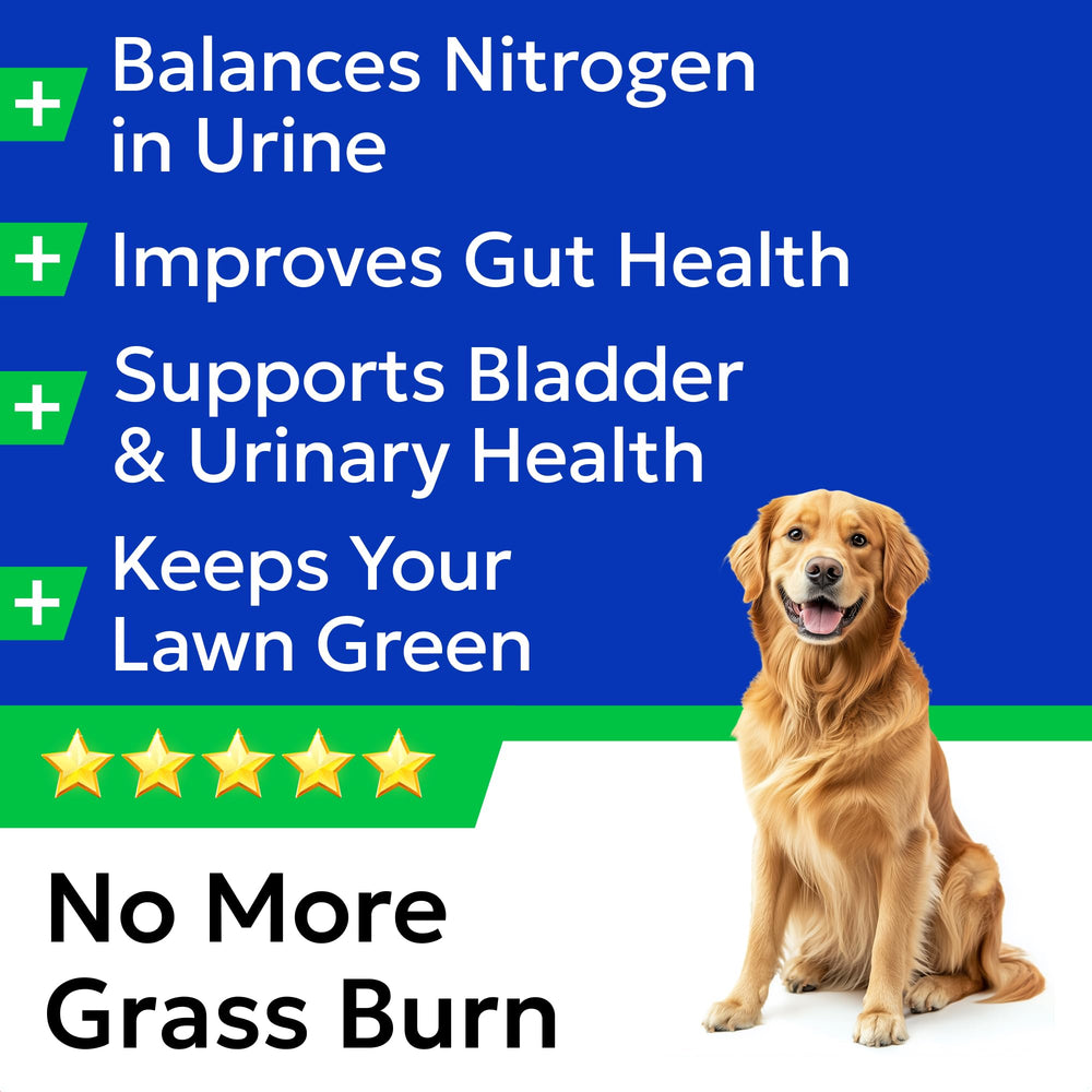 BARK&SPARK Probiotics and enzymes close-up for digestive support.