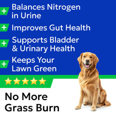 BARK&SPARK Probiotics and enzymes close-up for digestive support.