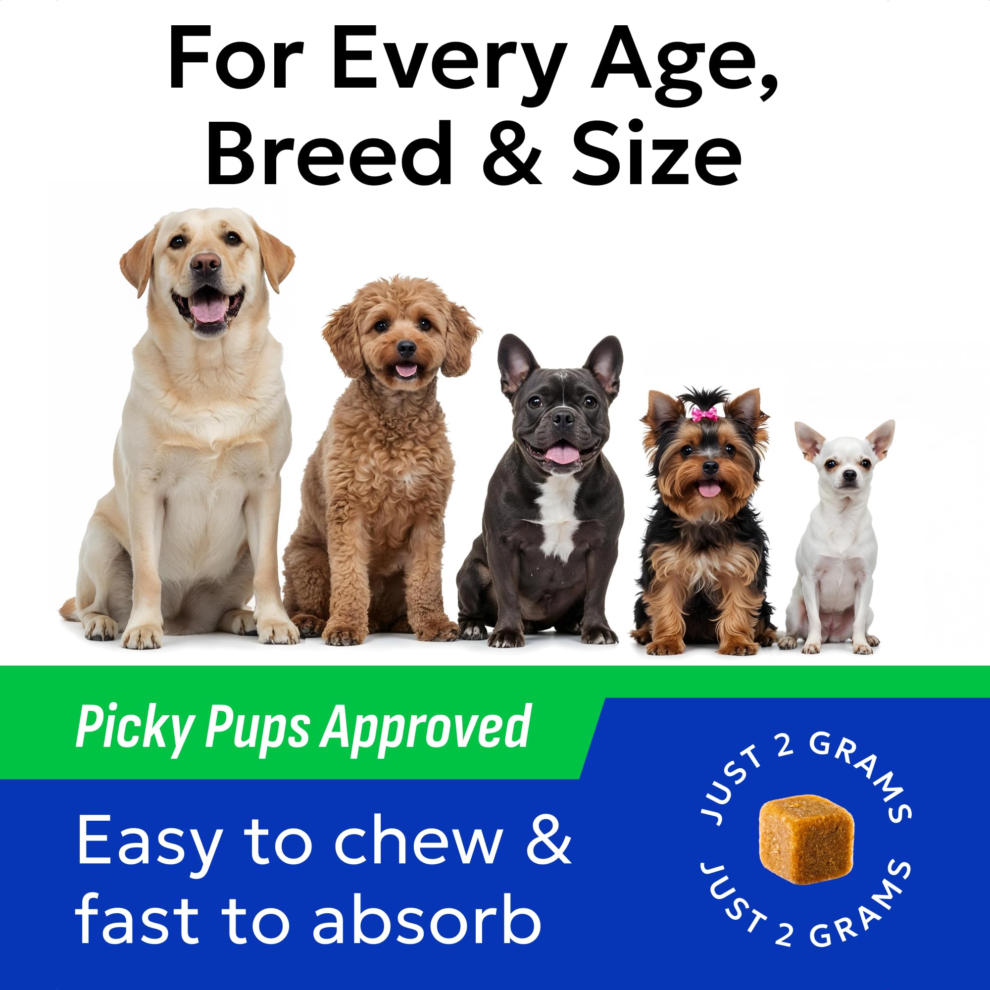 BARK&SPARK Probiotics for Dogs chewy treats for picky eaters.