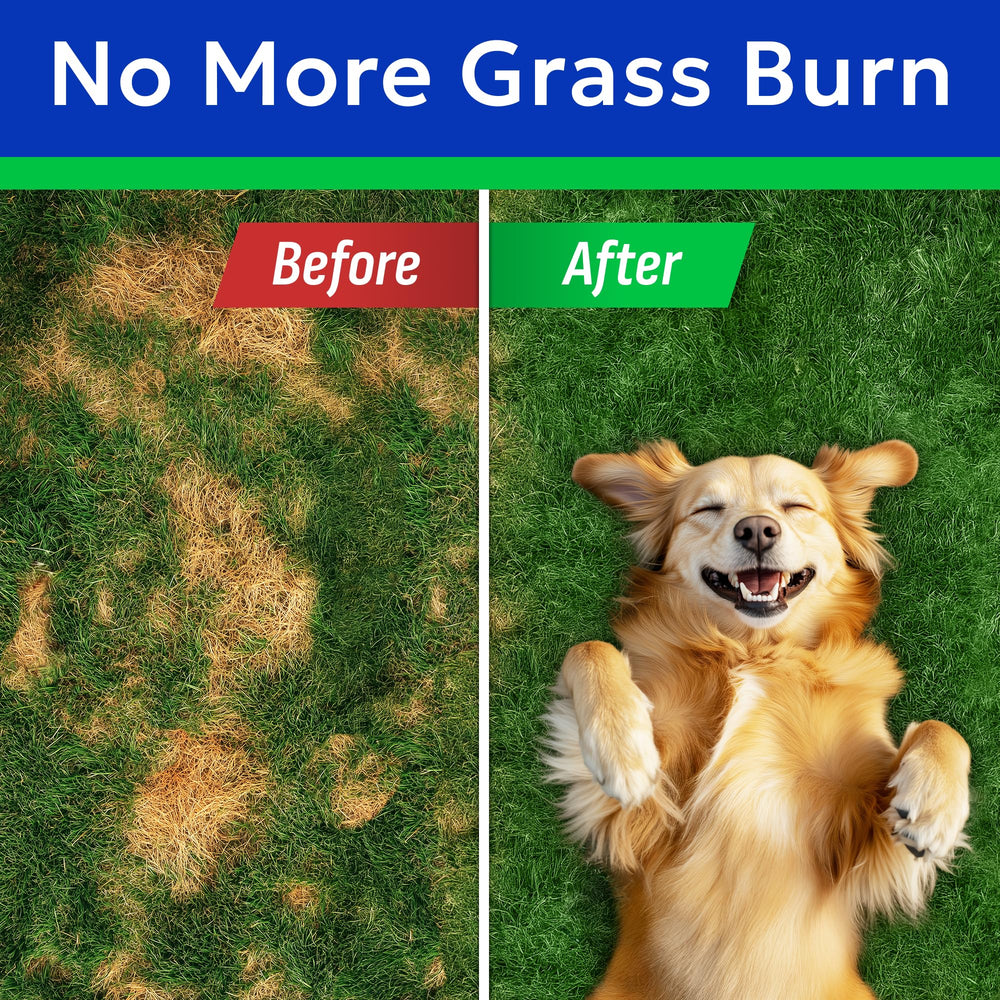 BARK&SPARK Urine neutralizer on lawn image shows reduced grass burn risk.