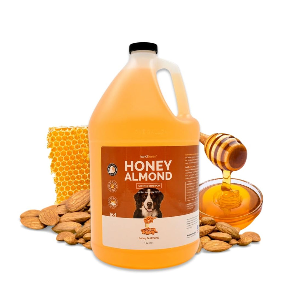 Bark2Basics Honey & Almond Dog Shampoo bottle showing the product design and form factor.