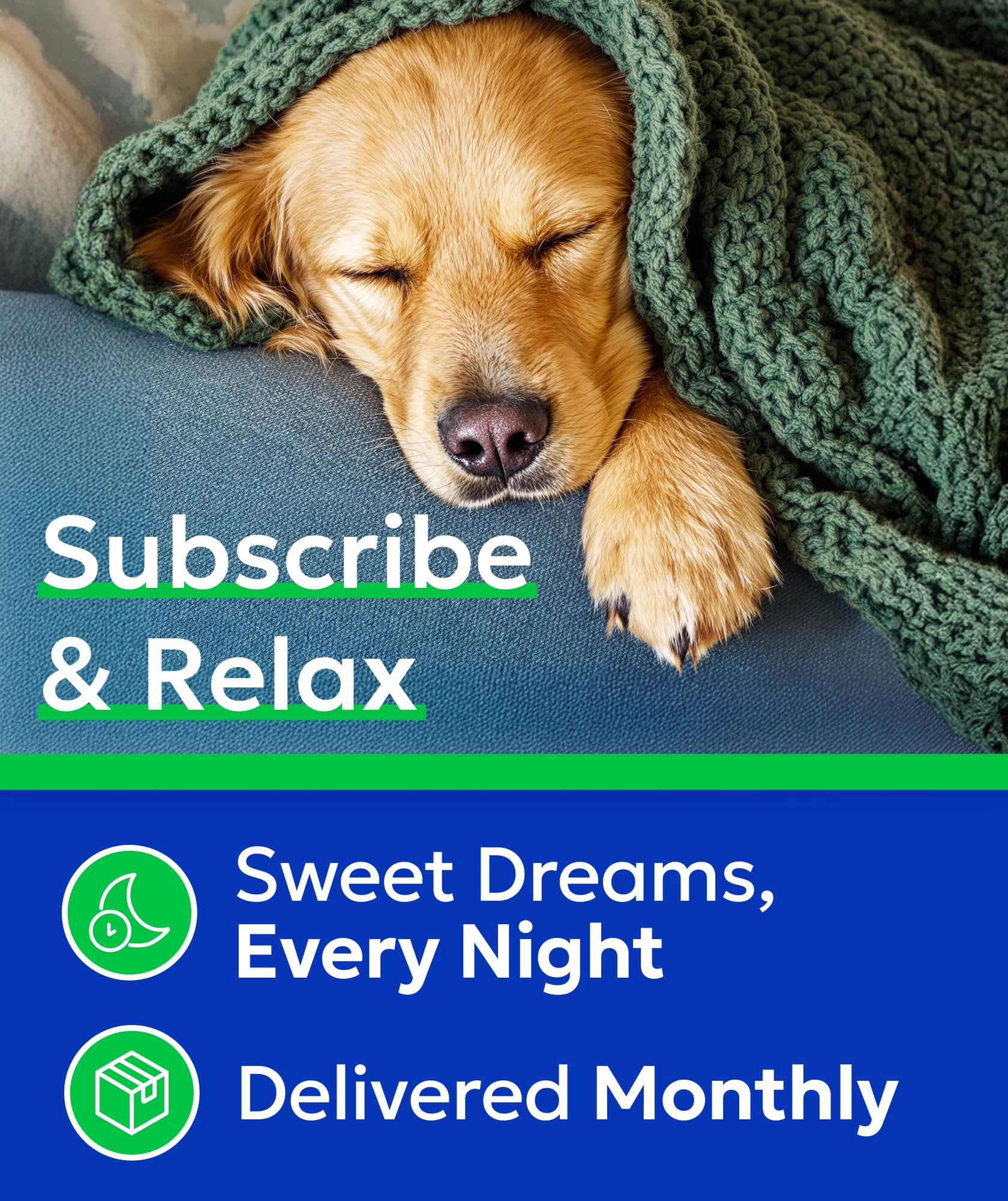 Packaged tube of BARK&SPARK calming chews ready for daily routine