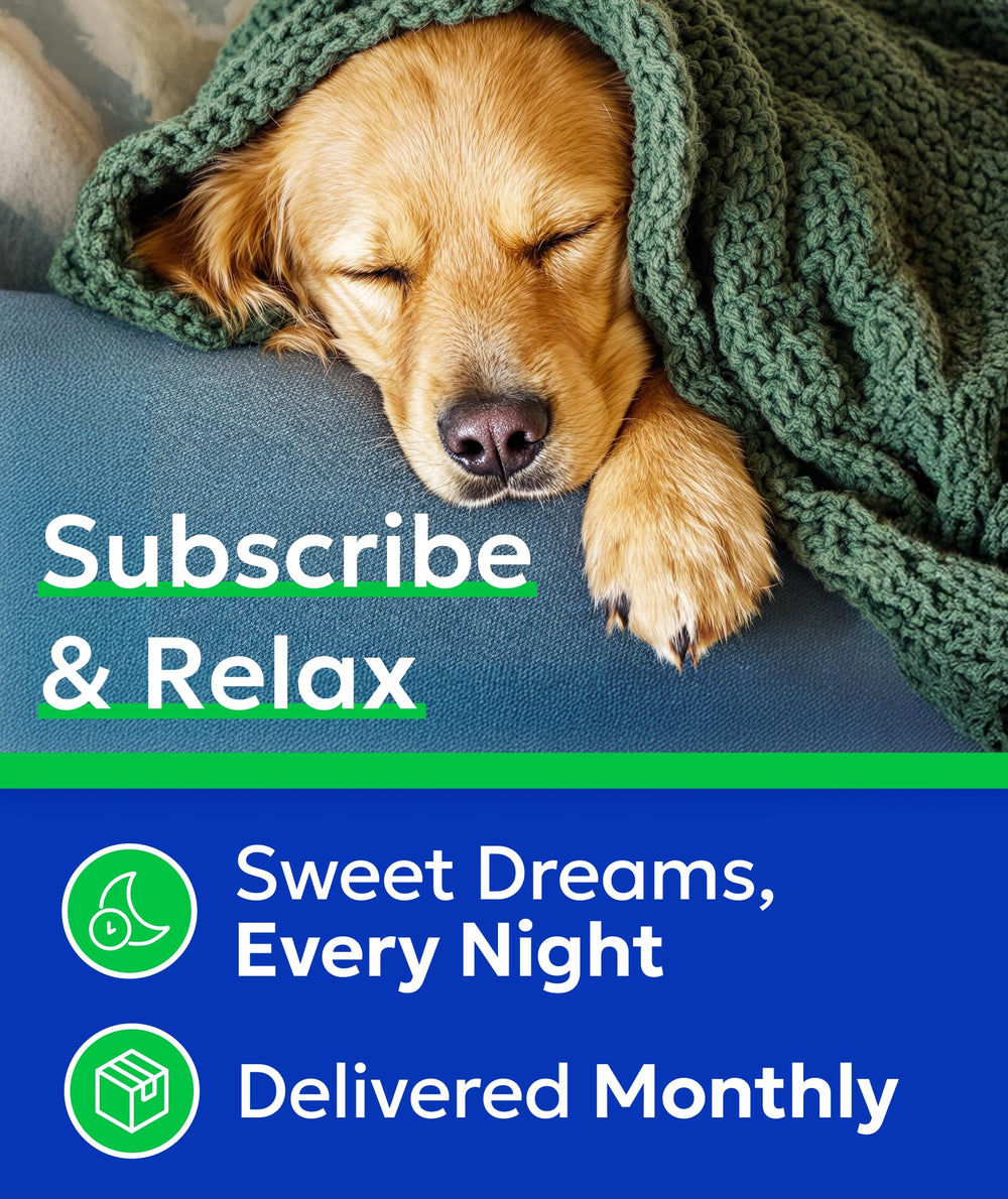 Packaged tube of BARK&SPARK calming chews ready for daily routine