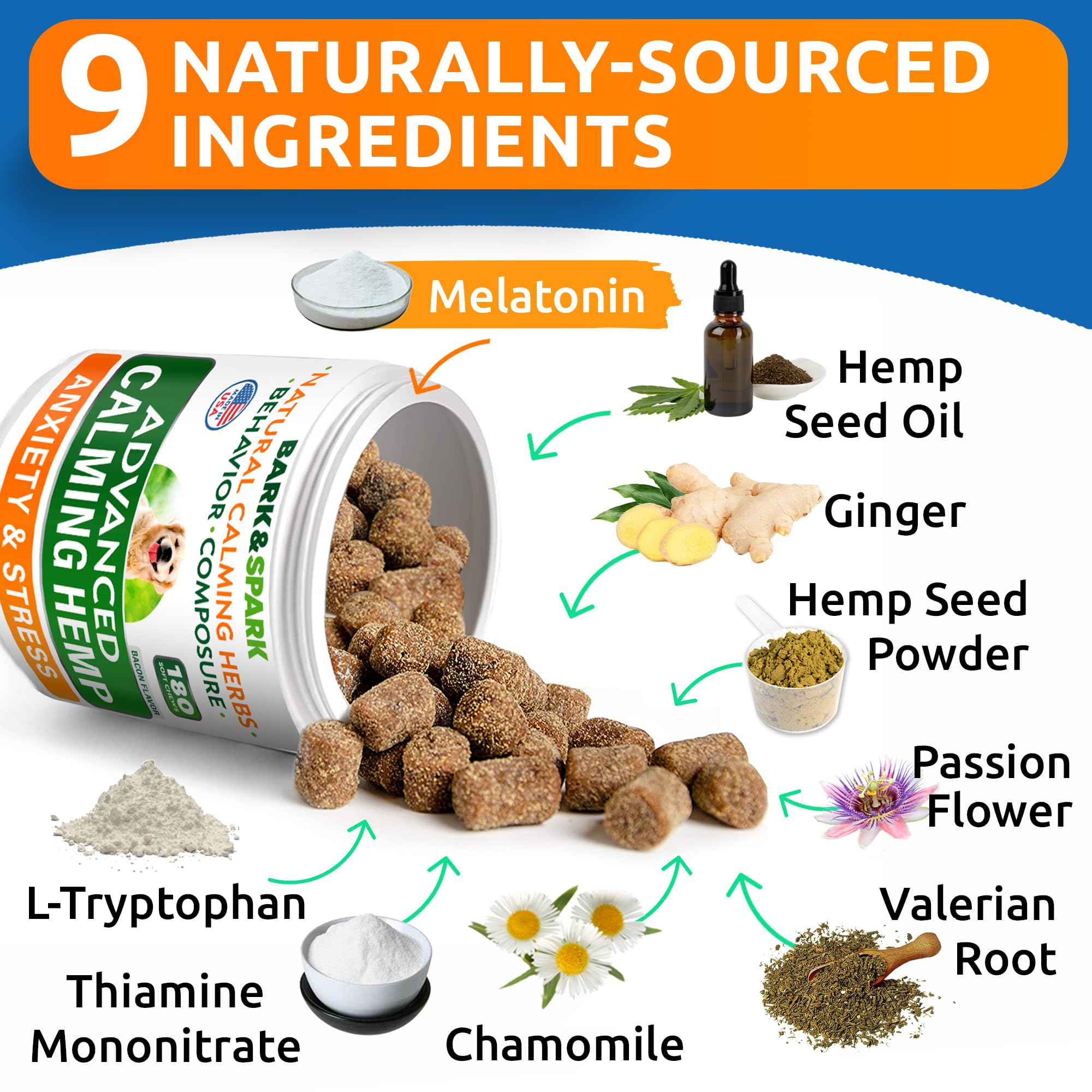 Puppy-friendly BARK&SPARK formula shown with a calm dog suitable for all sizes