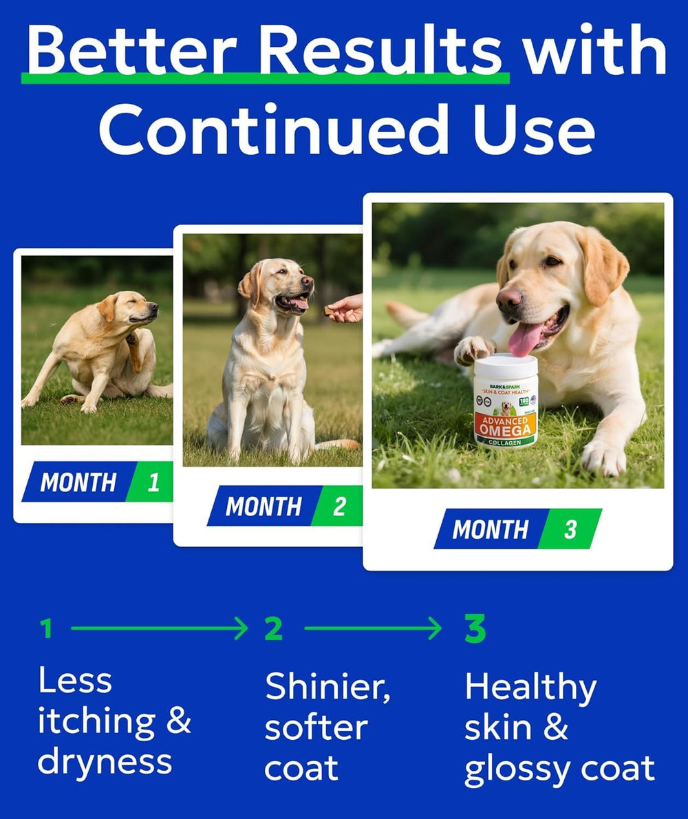BARK&SPARK omega-3 chews for dogs supporting joint comfort during activity