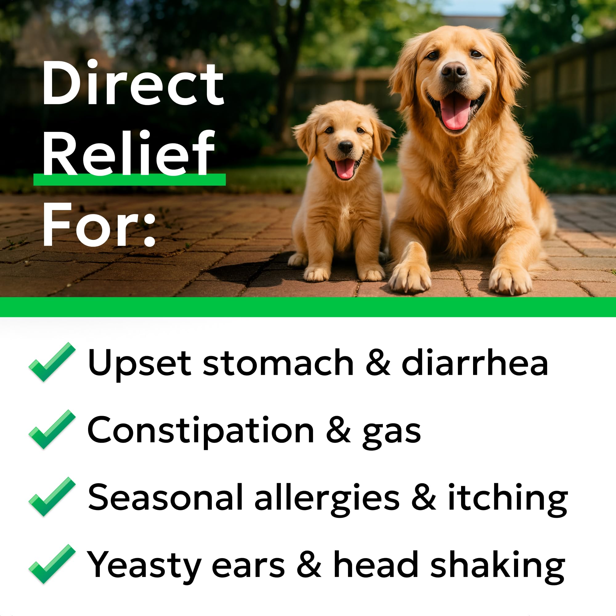 BARK&SPARK allergy relief chews help skin comfort through improved digestion.