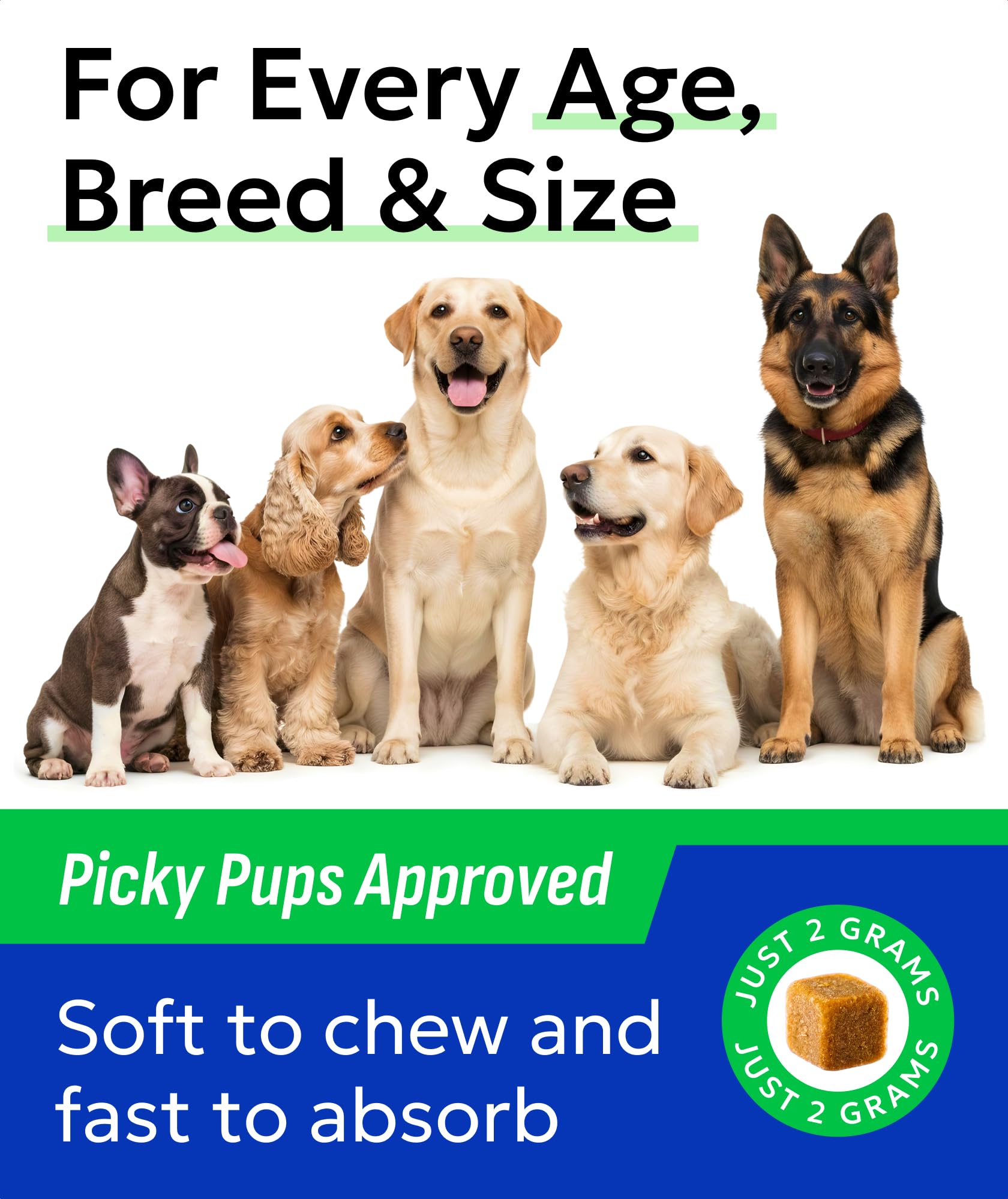 BARK&SPARK bottle label indicates USA quality standards.
