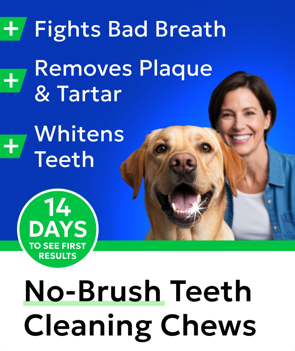 BARK&SPARK chews arranged beside a measuring cup for daily dosing