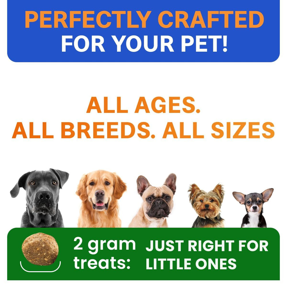 BARK&SPARK chicken-flavor probiotic chews ideal for picky eaters with sensitivities
