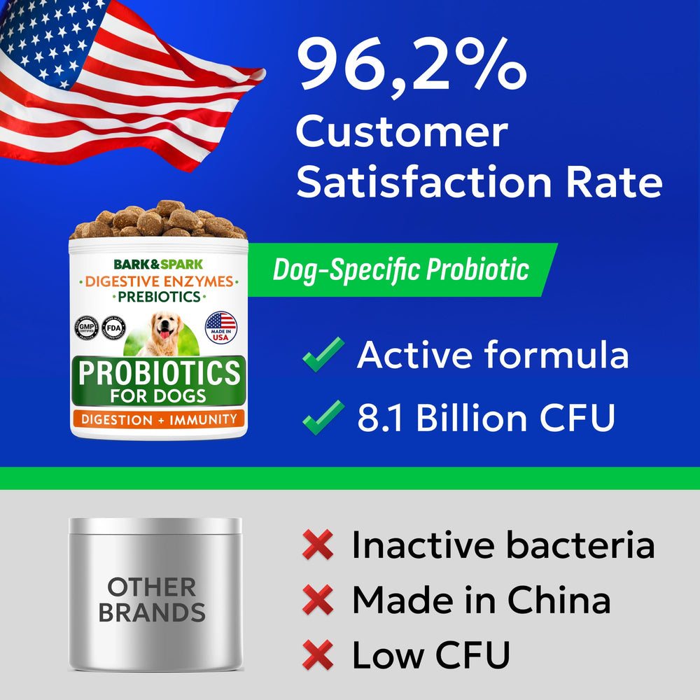 BARK&SPARK daily bites support healthy gut flora and overall wellness.