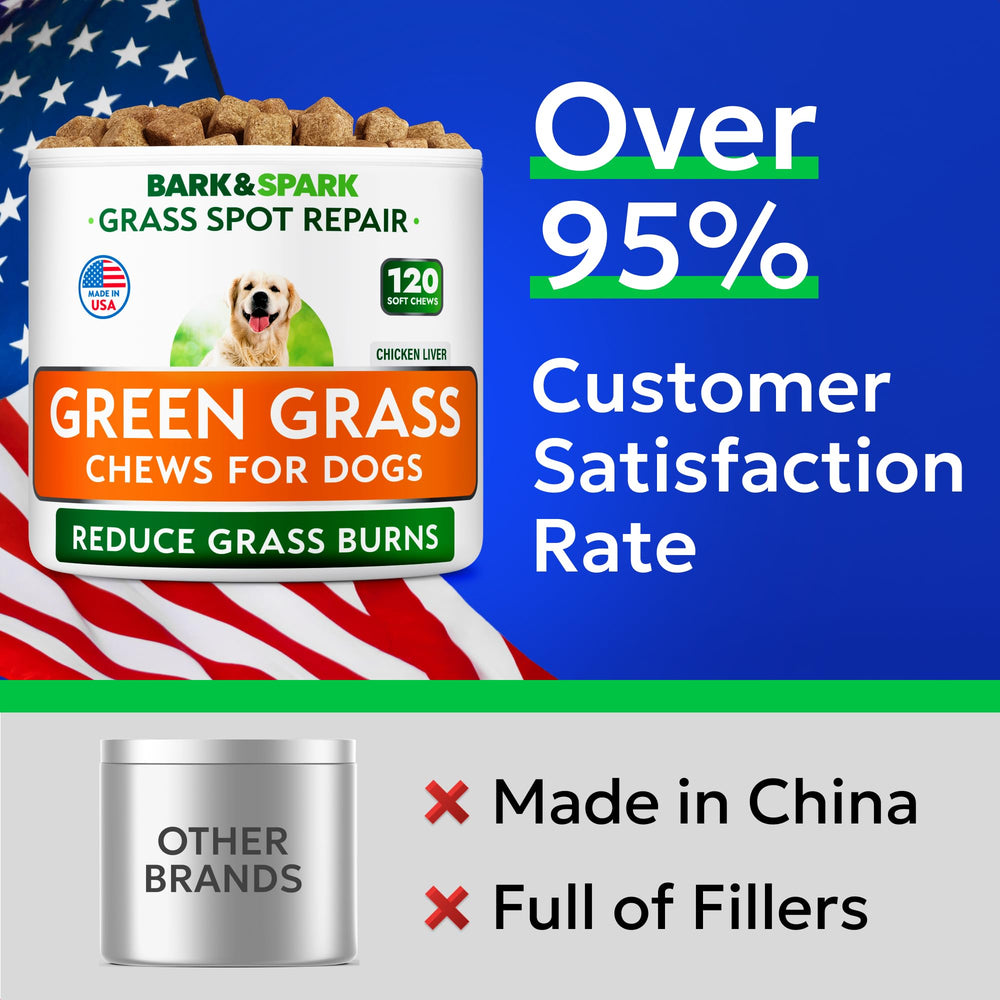 Happy dog enjoys a chew, supporting gut balance with BARK&SPARK.