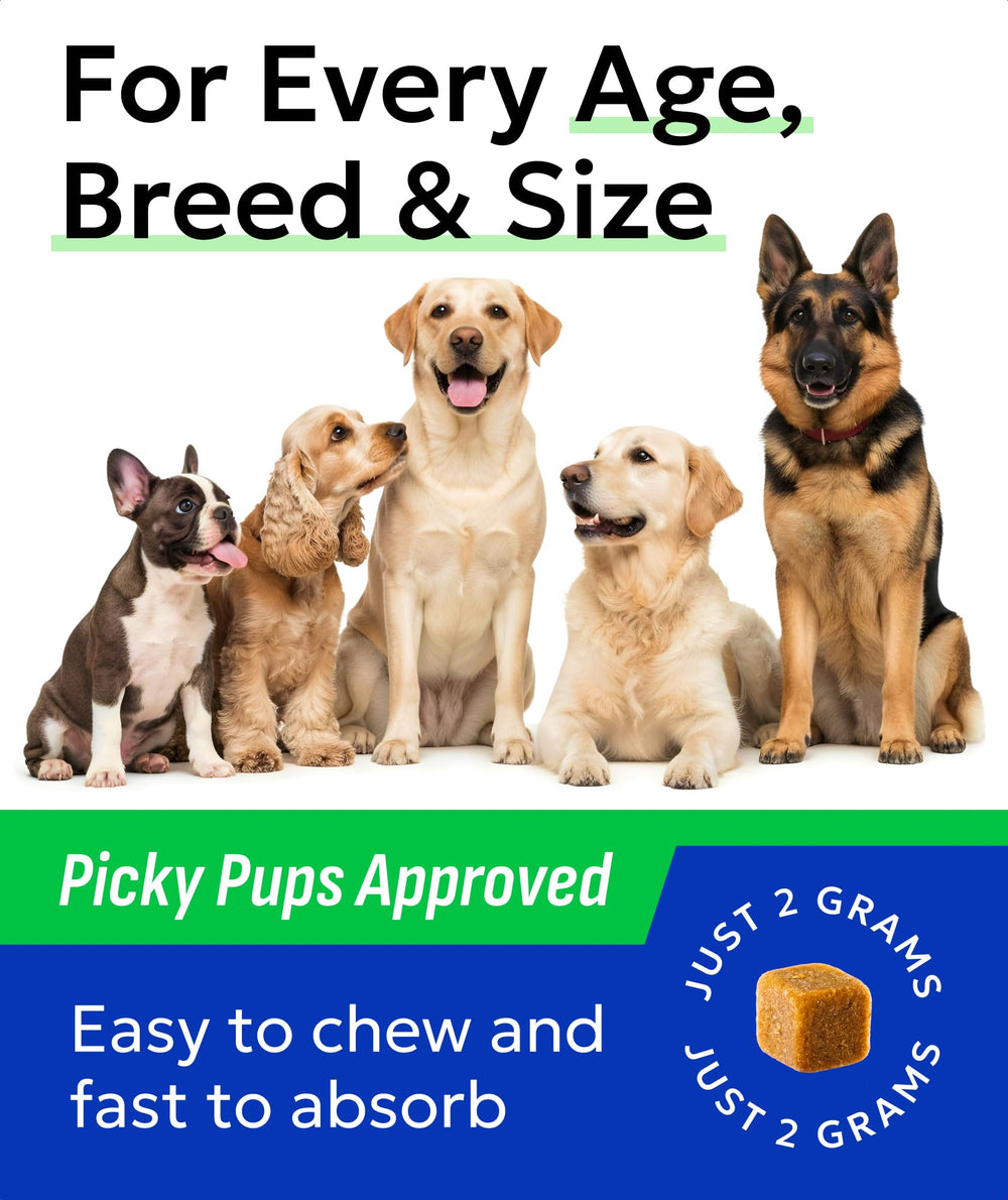 Calm dog showing relief from itching with BARK&SPARK skin and coat chews.