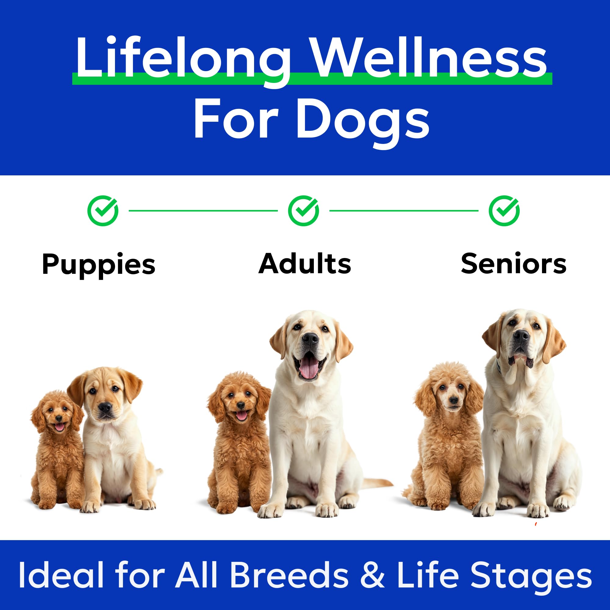 BARK&SPARK omega-3 supplement supports joints and heart in dogs.