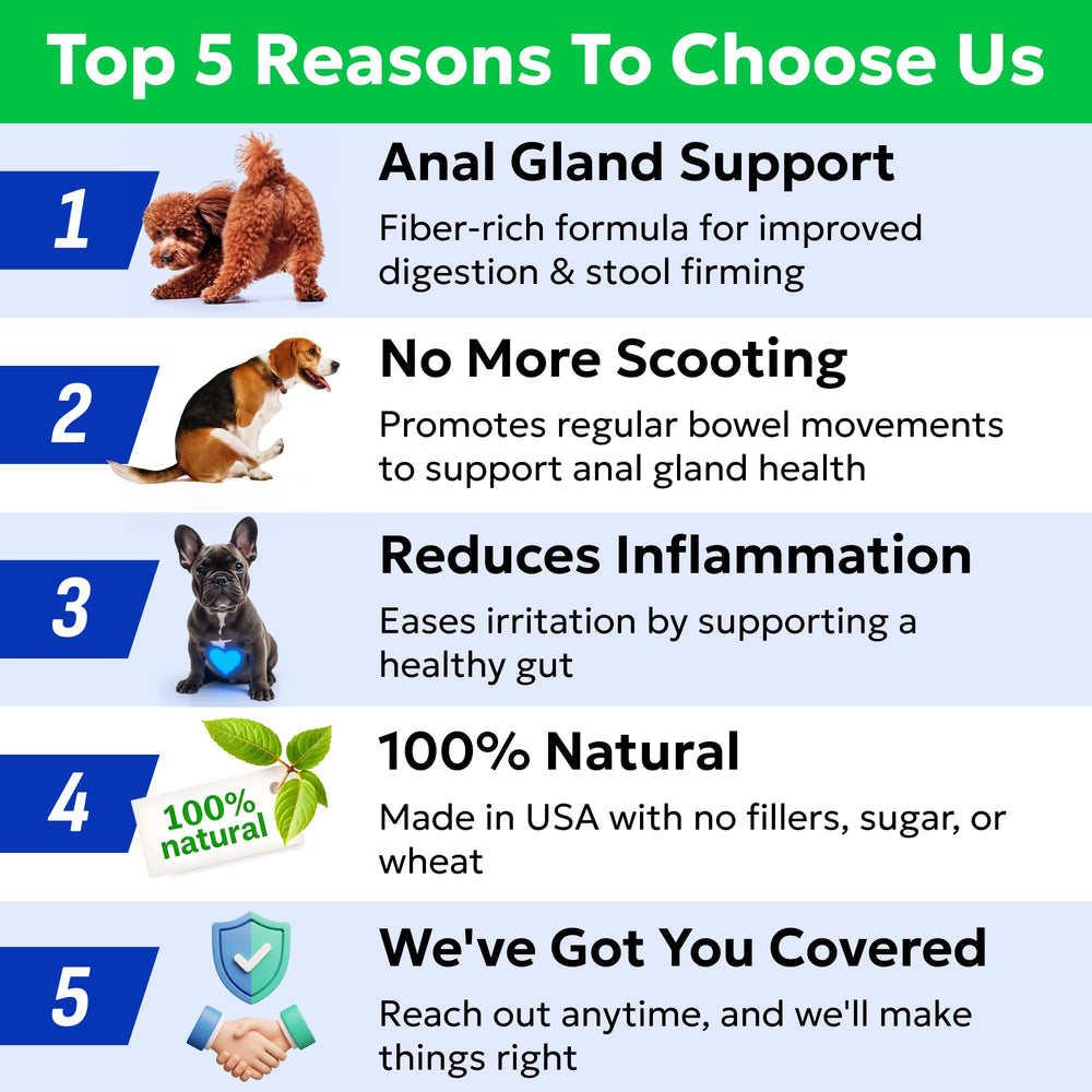 BARK&SPARK daily-use chews illustrated for consistent gland support.
