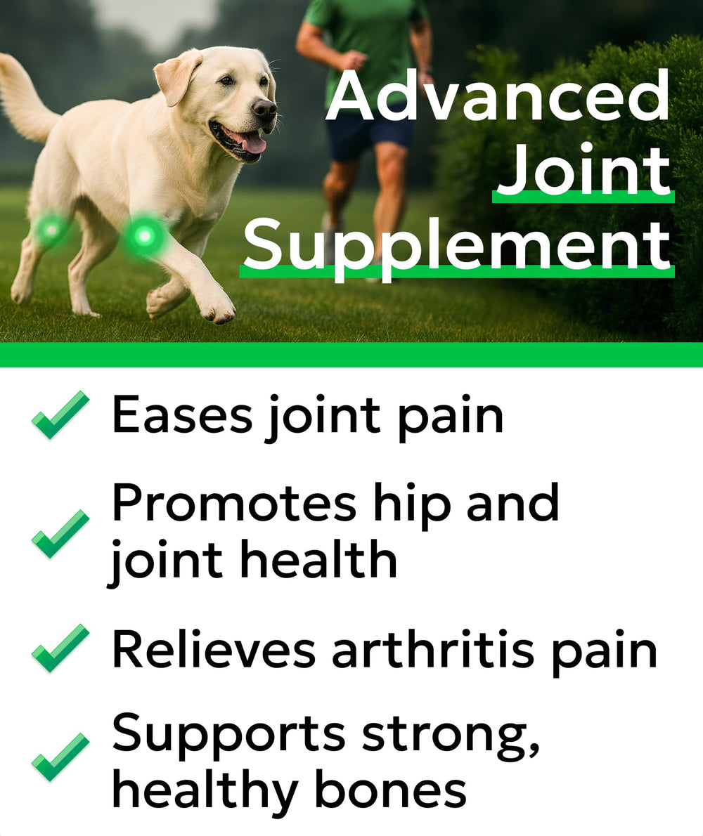BARK&SPARK glucosamine chondroitin dog joint chews closeup shows tasty texture