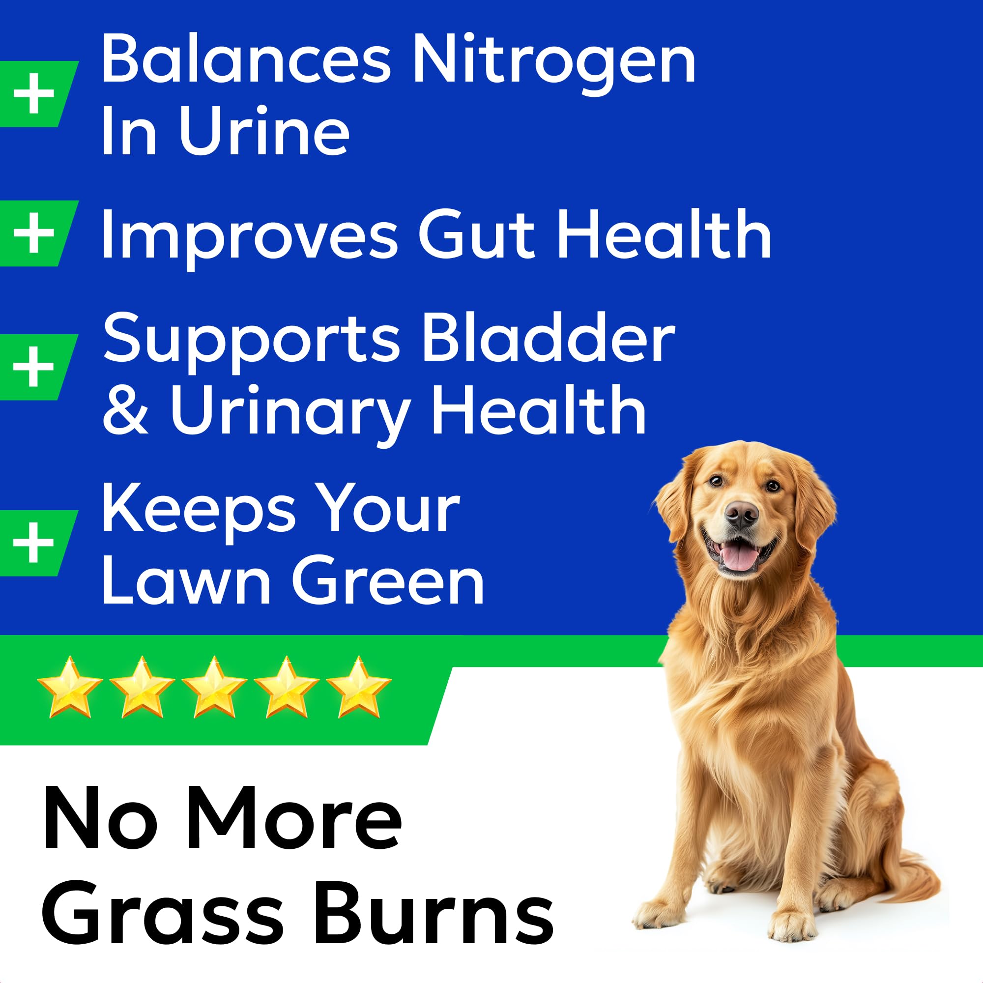 BARK&SPARK Green Grass Chews jar label highlights natural enzymes.
