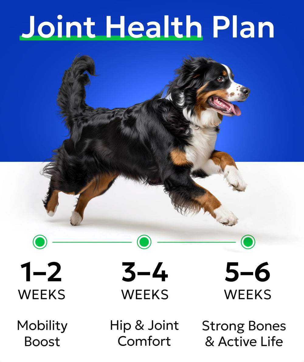 BARK&SPARK ingredients and infographic highlighting joint support.