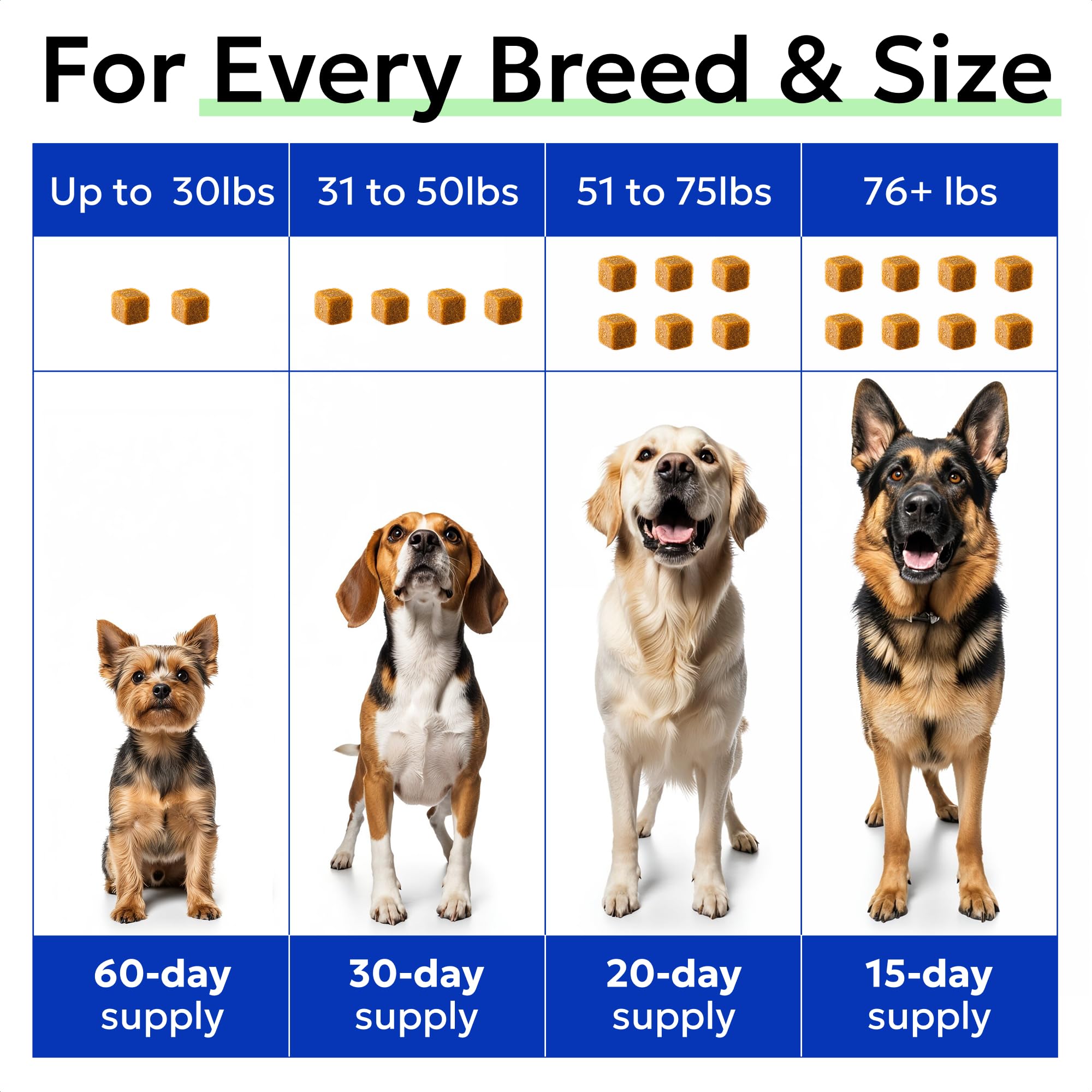 BARK&SPARK joint support in action—chews aiding mobility during daily play.