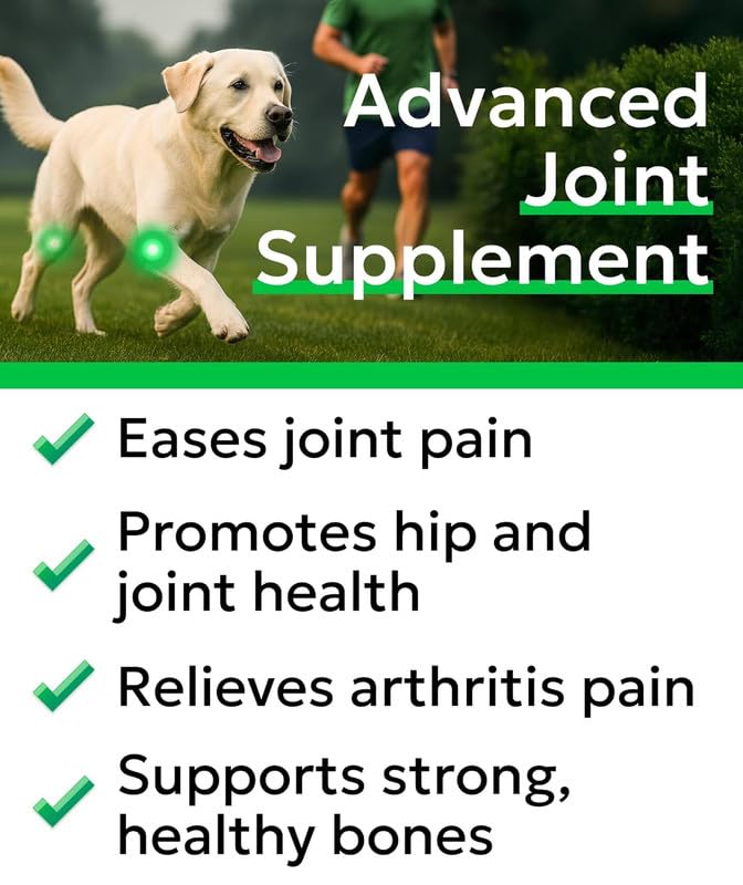 BARK&SPARK large-breed joint supplement 240 treats supports long-term mobility