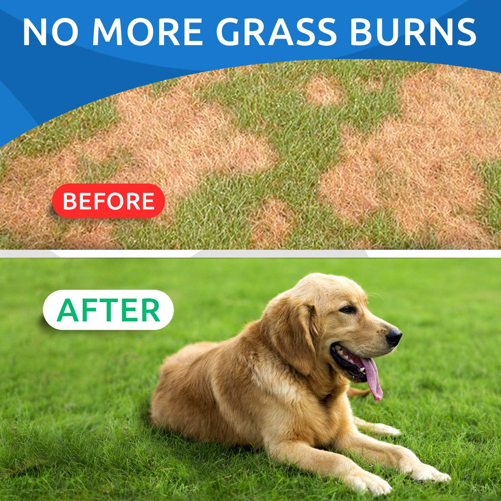 BARK&SPARK lawn restoration treats support greener turf