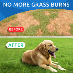 BARK&SPARK lawn restoration treats support greener turf