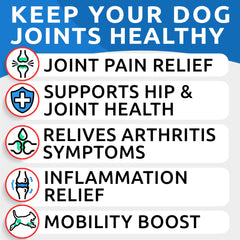 BARK&SPARK liquid glucosamine being poured for easy meal mixing and mobility support
