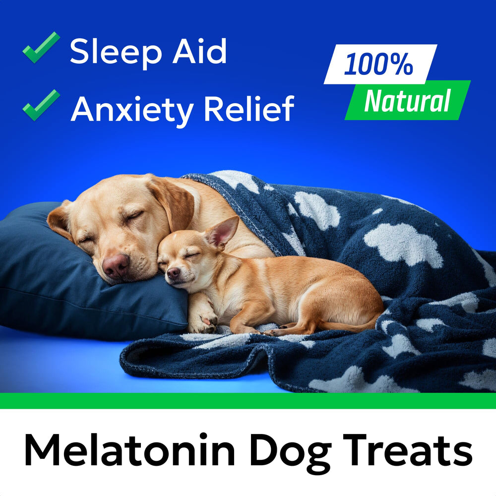 BARK&SPARK dosing guide for small and large dogs.