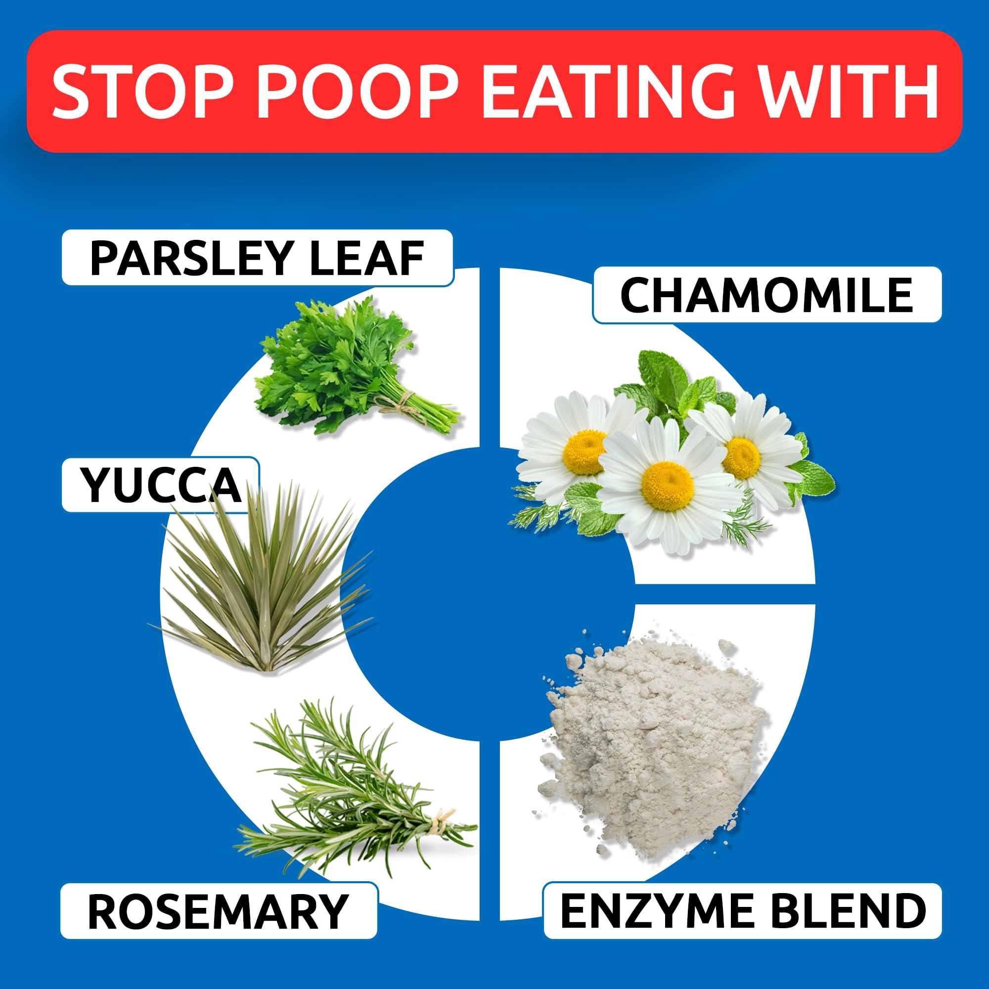 Closeup bottle label of No Poo Chews emphasizes probiotic and enzyme benefits