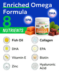 Front of BARK&SPARK packaging highlights joints and skin health.