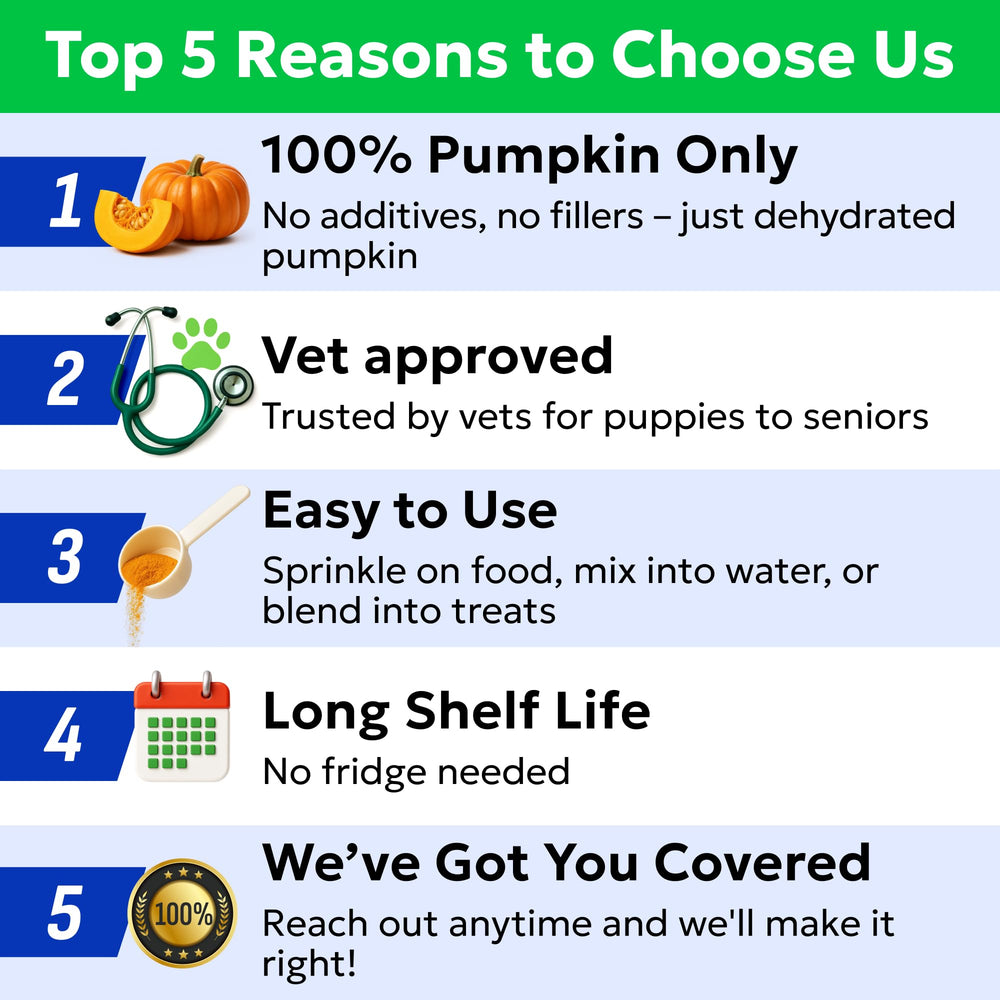 Healthy meal idea with BARK&SPARK pumpkin powder