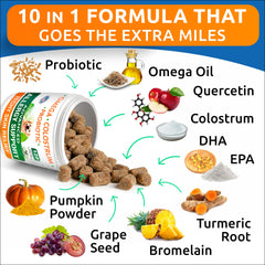 BARK&SPARK quercetin bromelain probiotic blend for dog allergies