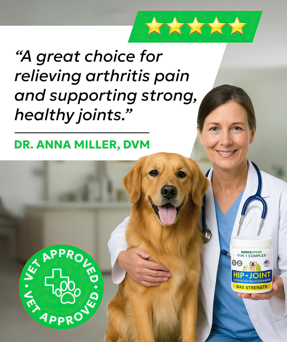 BARK&SPARK vet-approved seal signals trusted joint support