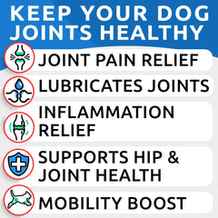 BARK&SPARK soft chews closeup with lamb flavor for easy chewing