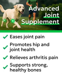 BARK&SPARK soft joint-support chews ideal for daily canine comfort.