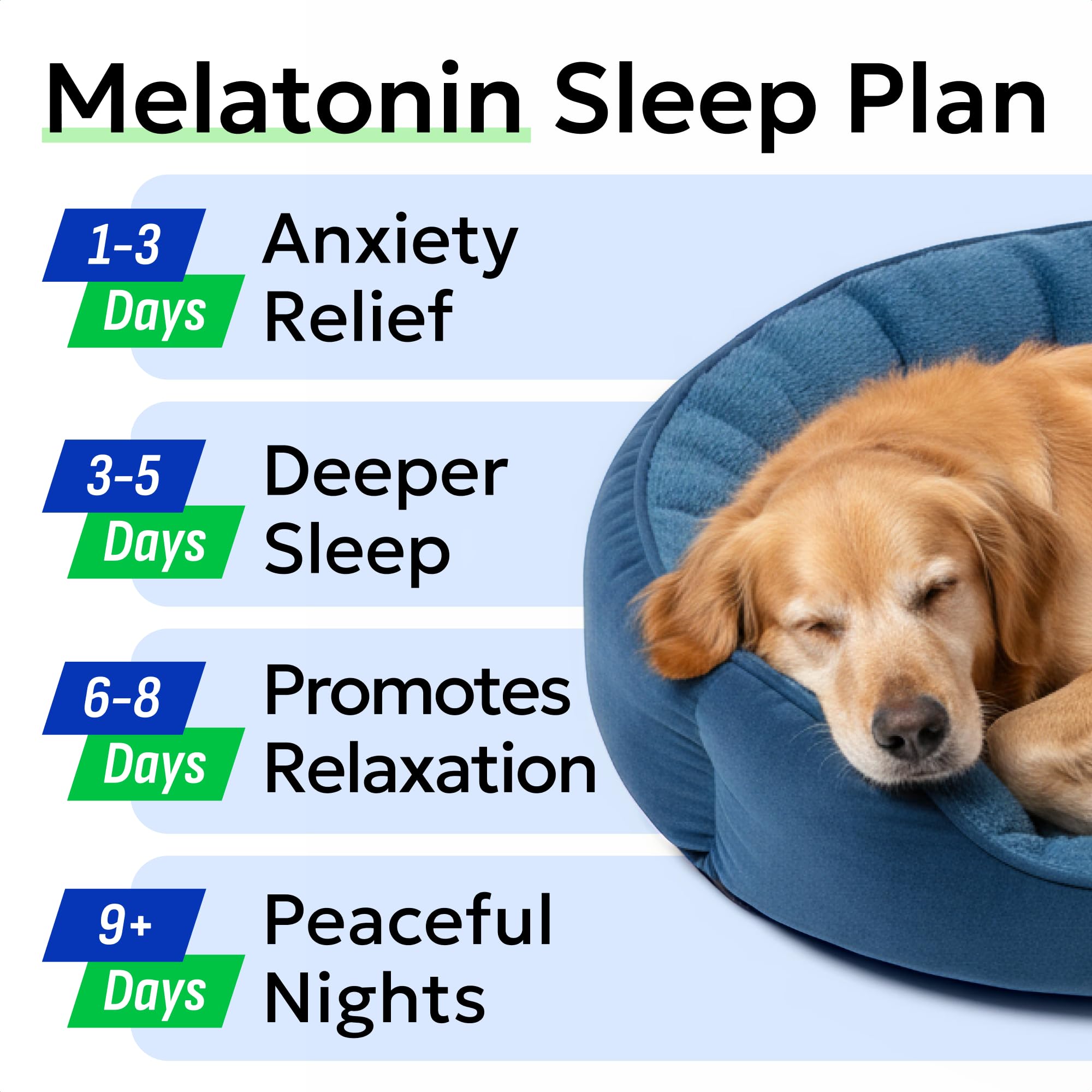 Valerian-root formula from BARK&SPARK supports calmer moments for dogs.