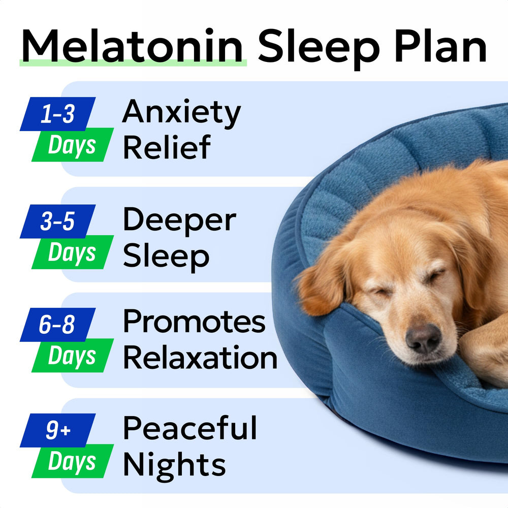 Valerian-root formula from BARK&SPARK supports calmer moments for dogs.