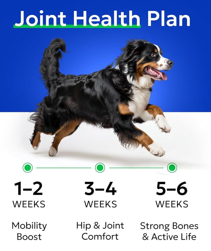 BARK&SPARK formula with vitamins and omega-3-6 supports hip health