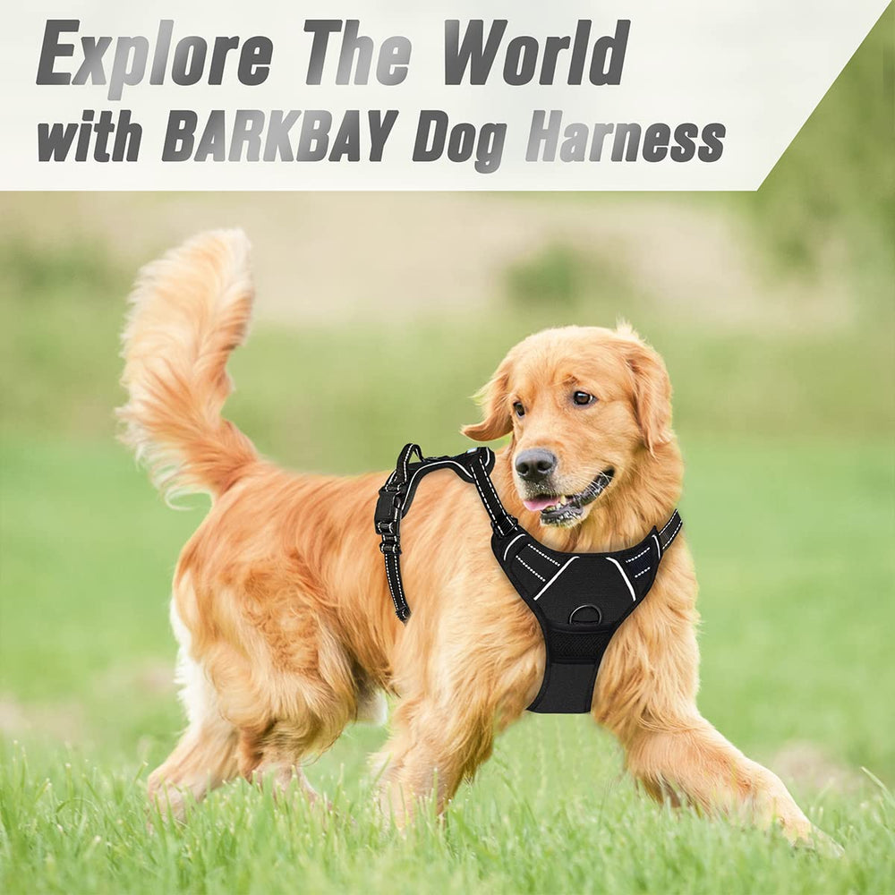 BARKBAY 4-point adjustment offers a near-custom fit for large dogs