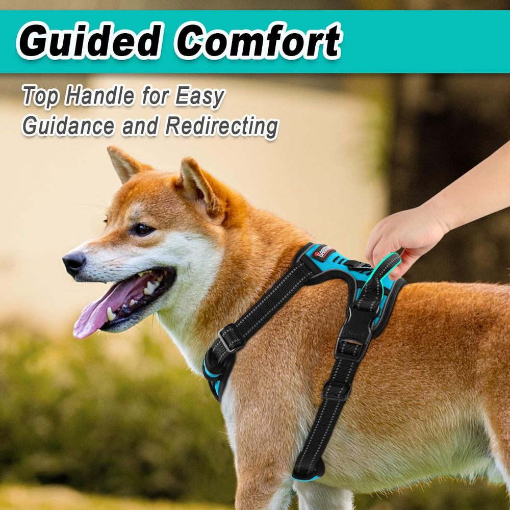 BARKBAY adjustable straps provide a secure, comfortable fit for dogs.