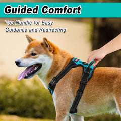 BARKBAY adjustable straps provide a secure, comfortable fit for dogs.