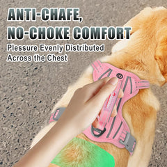 BARKBAY breathable air mesh harness keeps dogs cool on hot days