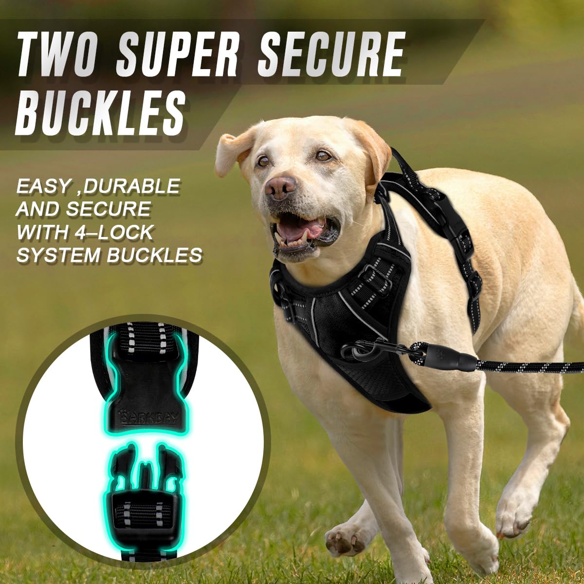 BARKBAY Anti-chafe padding delivers a comfortable, snug fit during walks