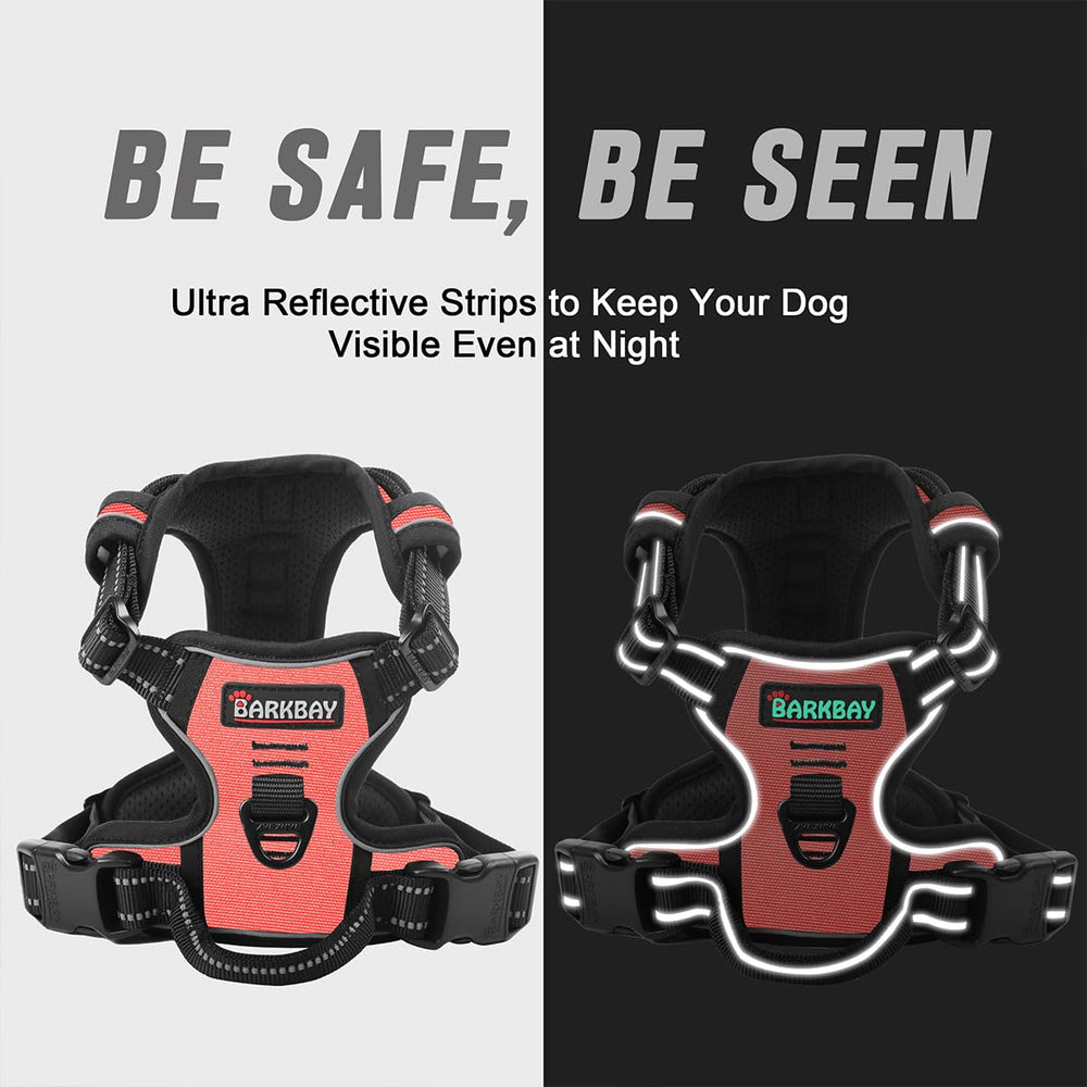 BARKBAY anti-chafe padding enhances comfort during long wear