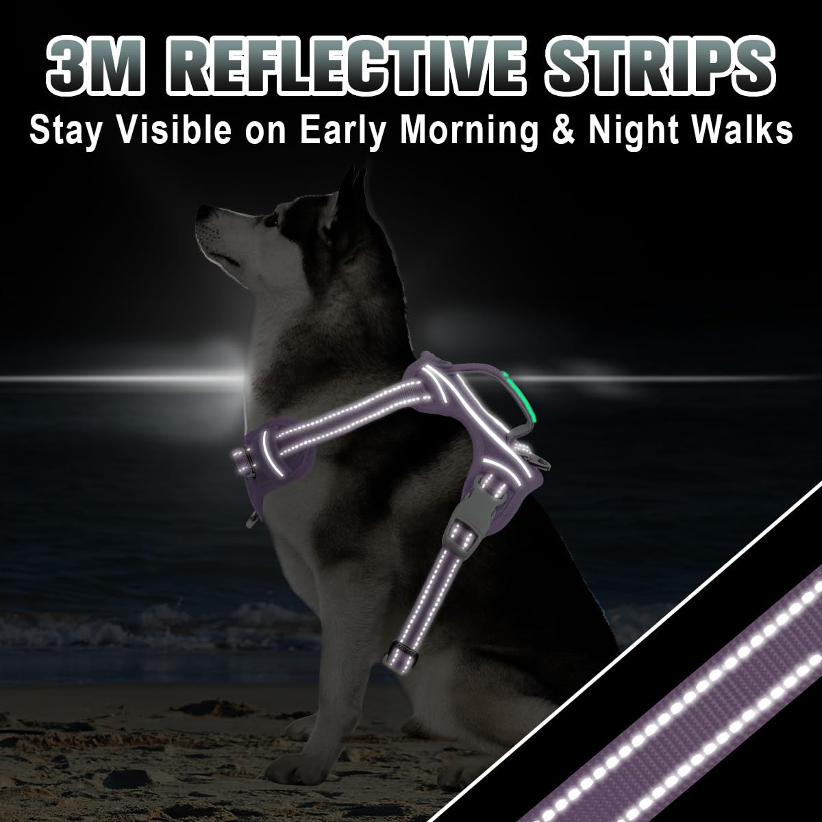 BARKBAY padded anti-chafe lining keeps wear comfortable longer