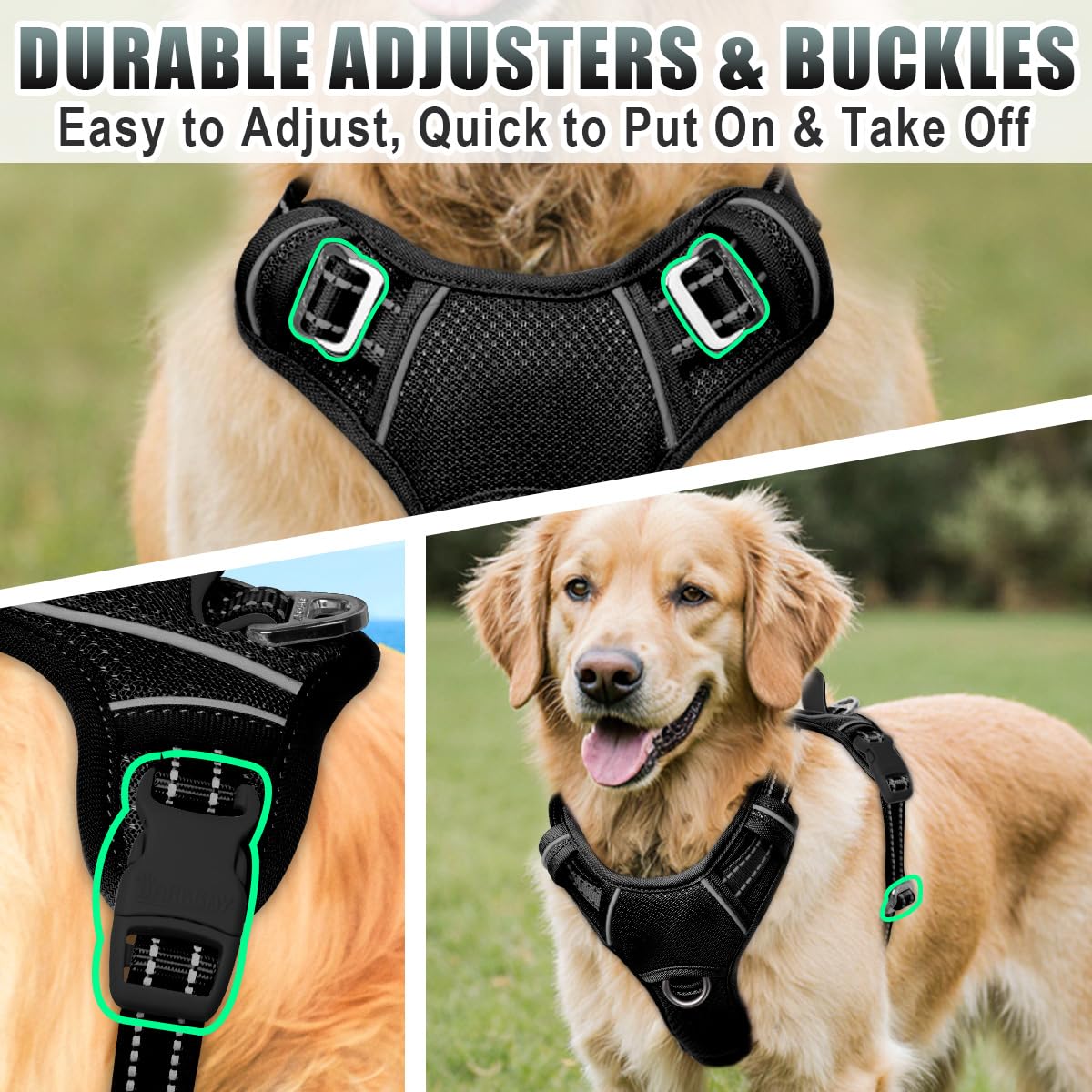 BARKBAY back D-ring supports casual strolls and quick leash changes.