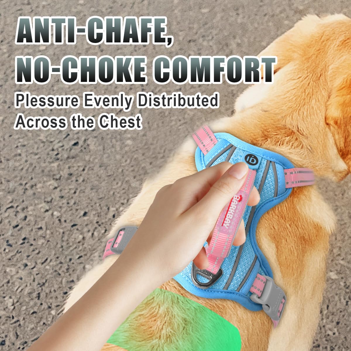 BARKBAY breathable air mesh keeps dogs cool during activity.