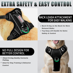 Breathable air mesh keeps a dog cool during runs and hikes with BARKBAY.
