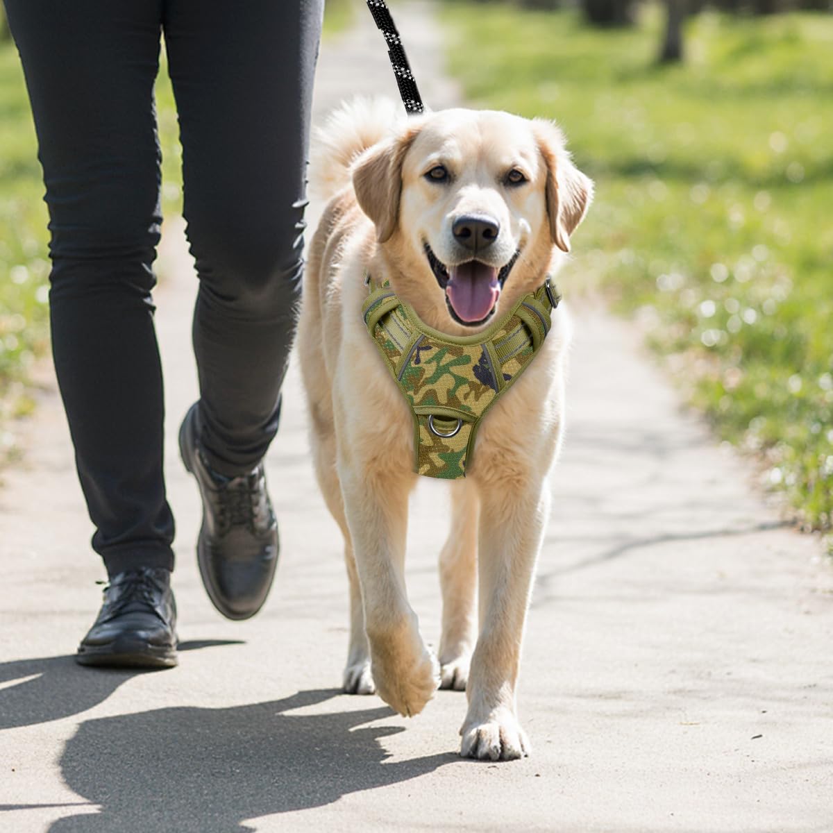 BARKBAY large size fits generously for larger dogs.